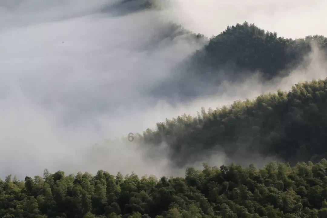 沙漠避难所